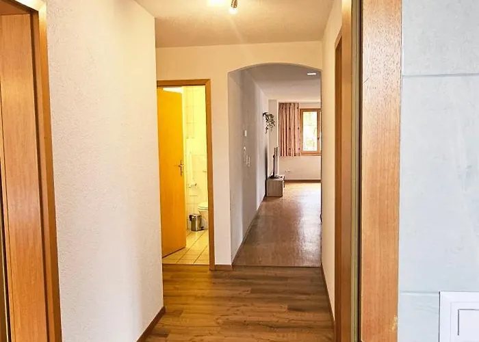 Alpenglück - Aare Jungfrau Ag Wilderswil